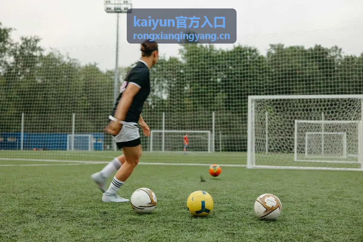 kaiyun官方入口流程示意
